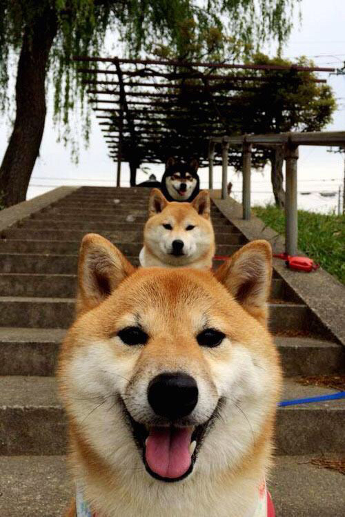 红龙吐焰！欧冠半决赛威尔士火力全开，波兰铁骑防线终溃堤