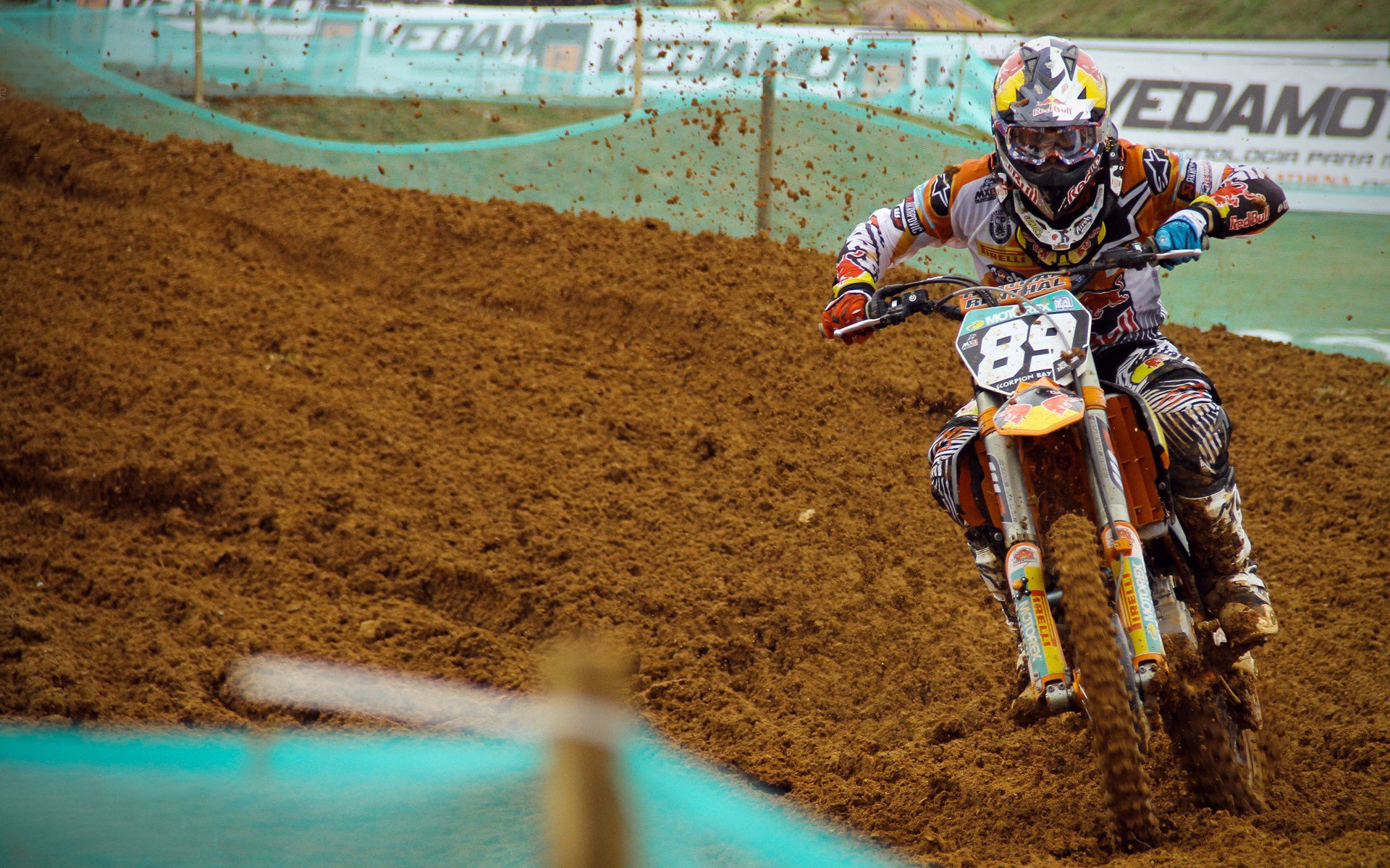 当东北虎遇见迈阿密热浪，塔图姆在跨界篮球宇宙的高光独舞